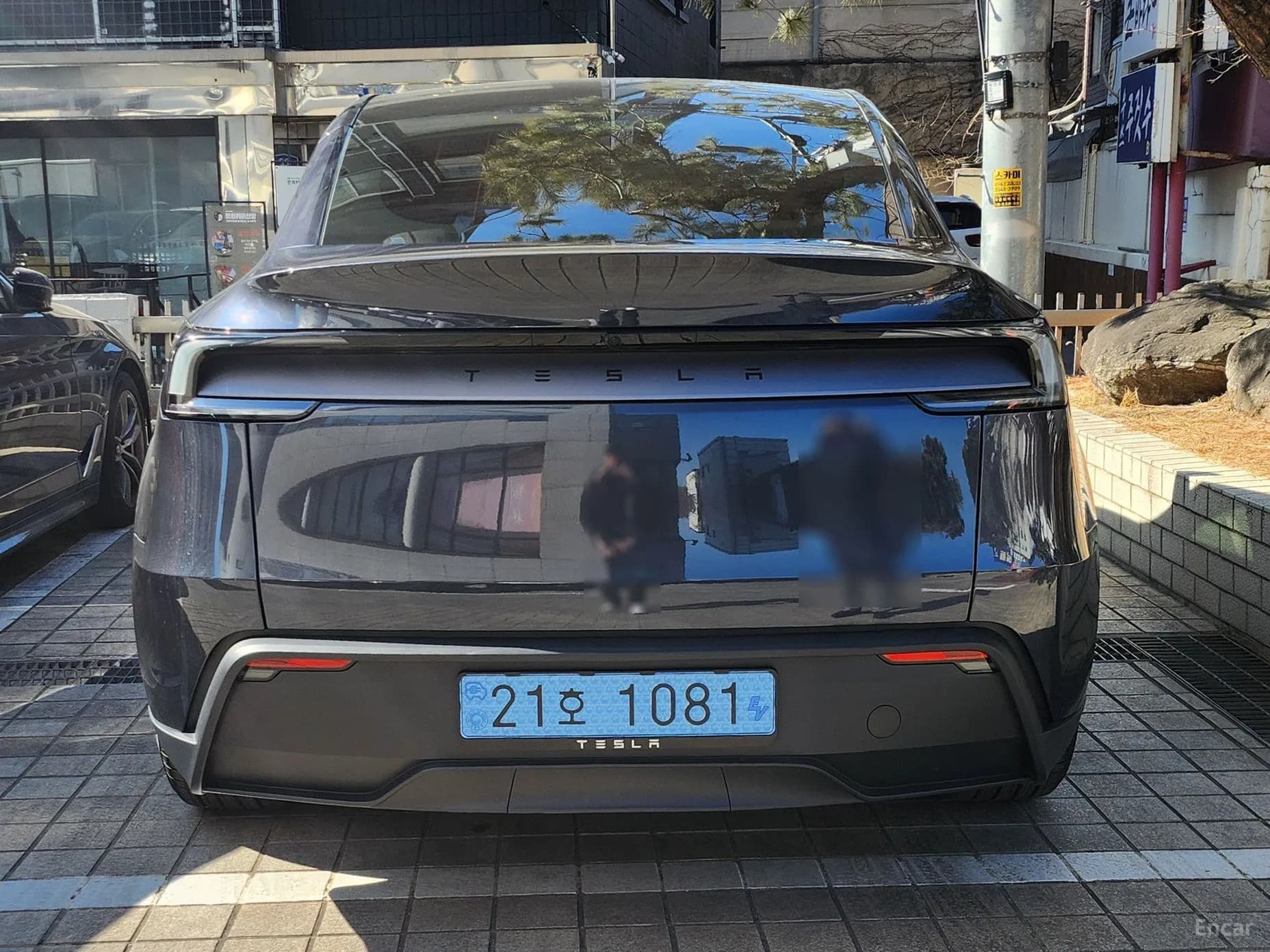 Model Y