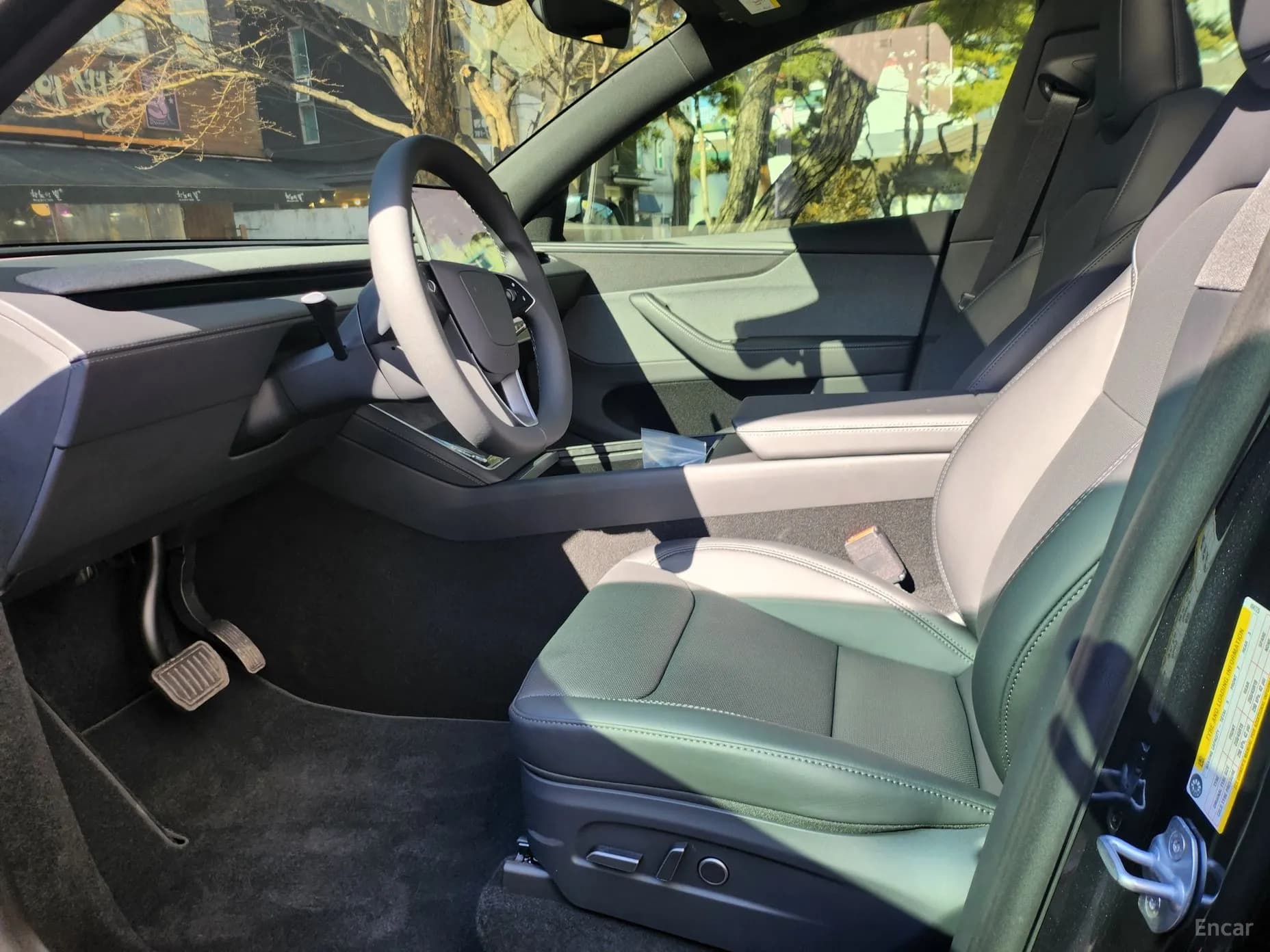 Model Y