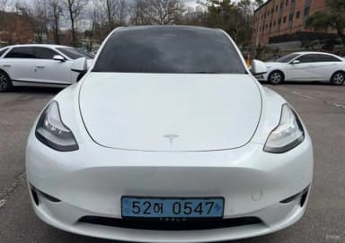 Model Y