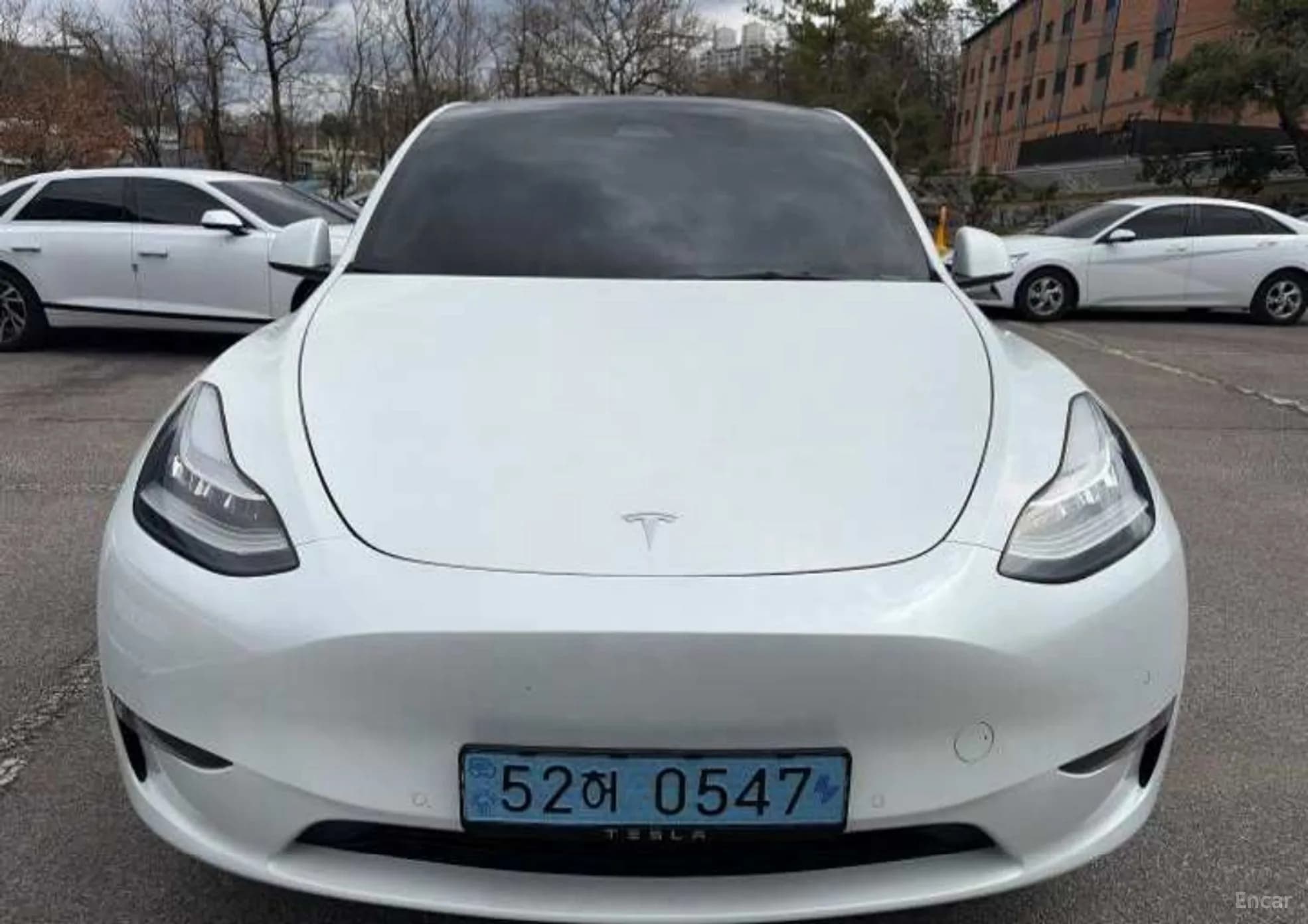 Model Y