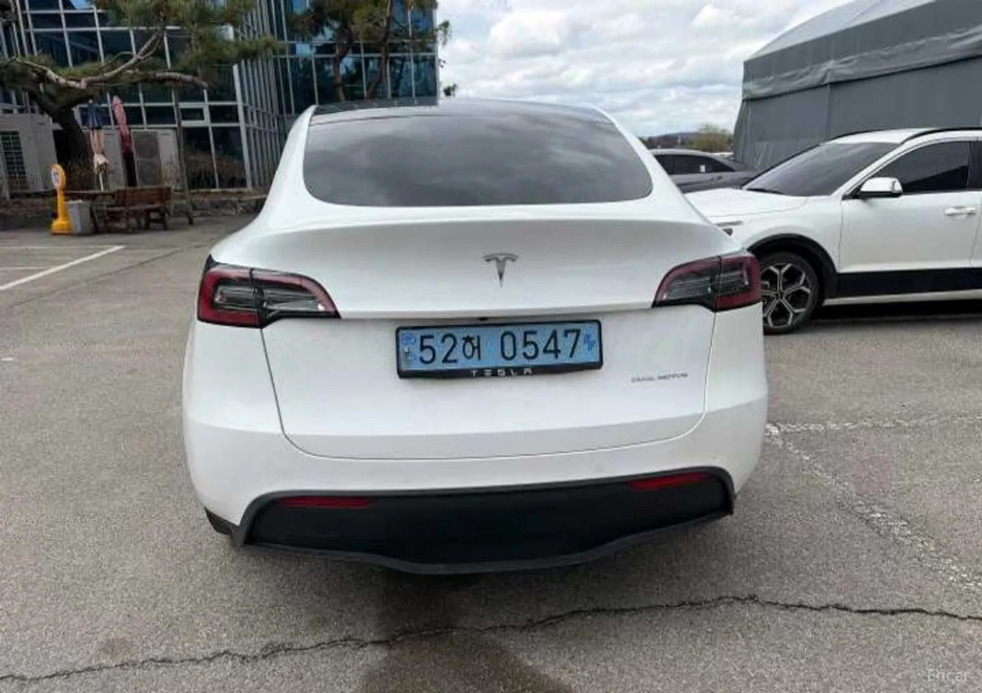 Model Y