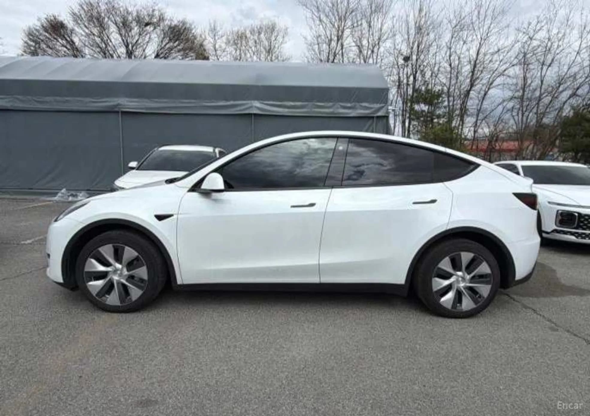 Model Y