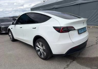 Model Y