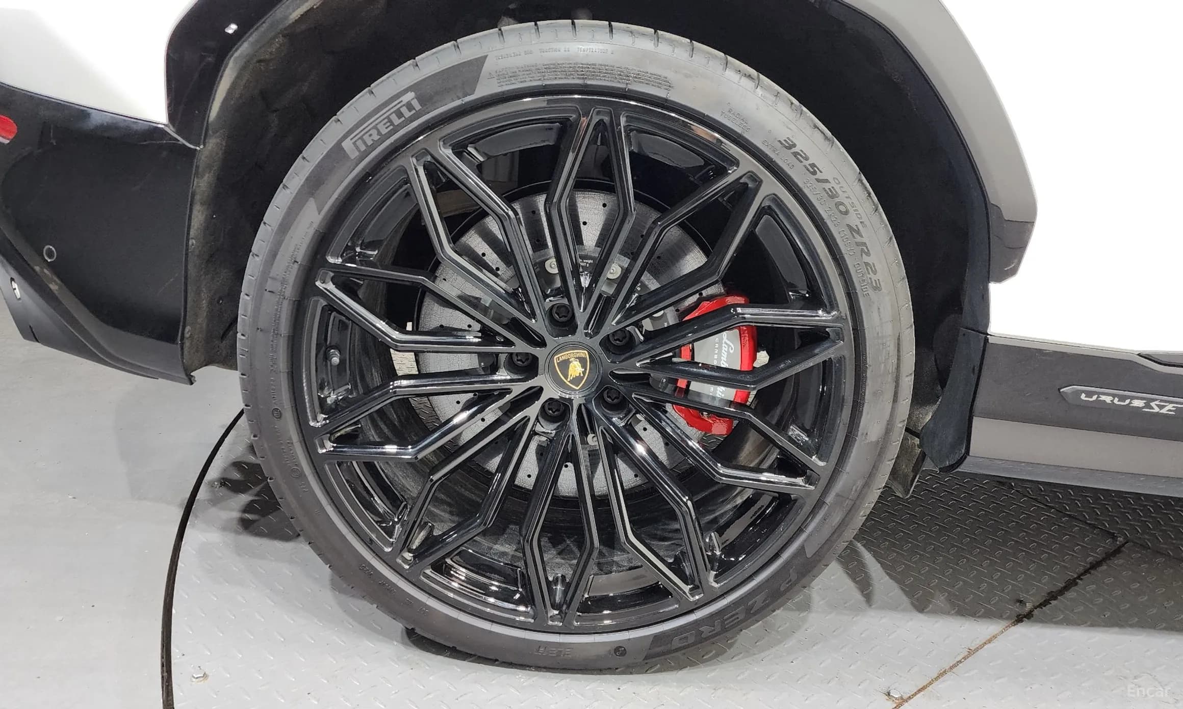 Urus