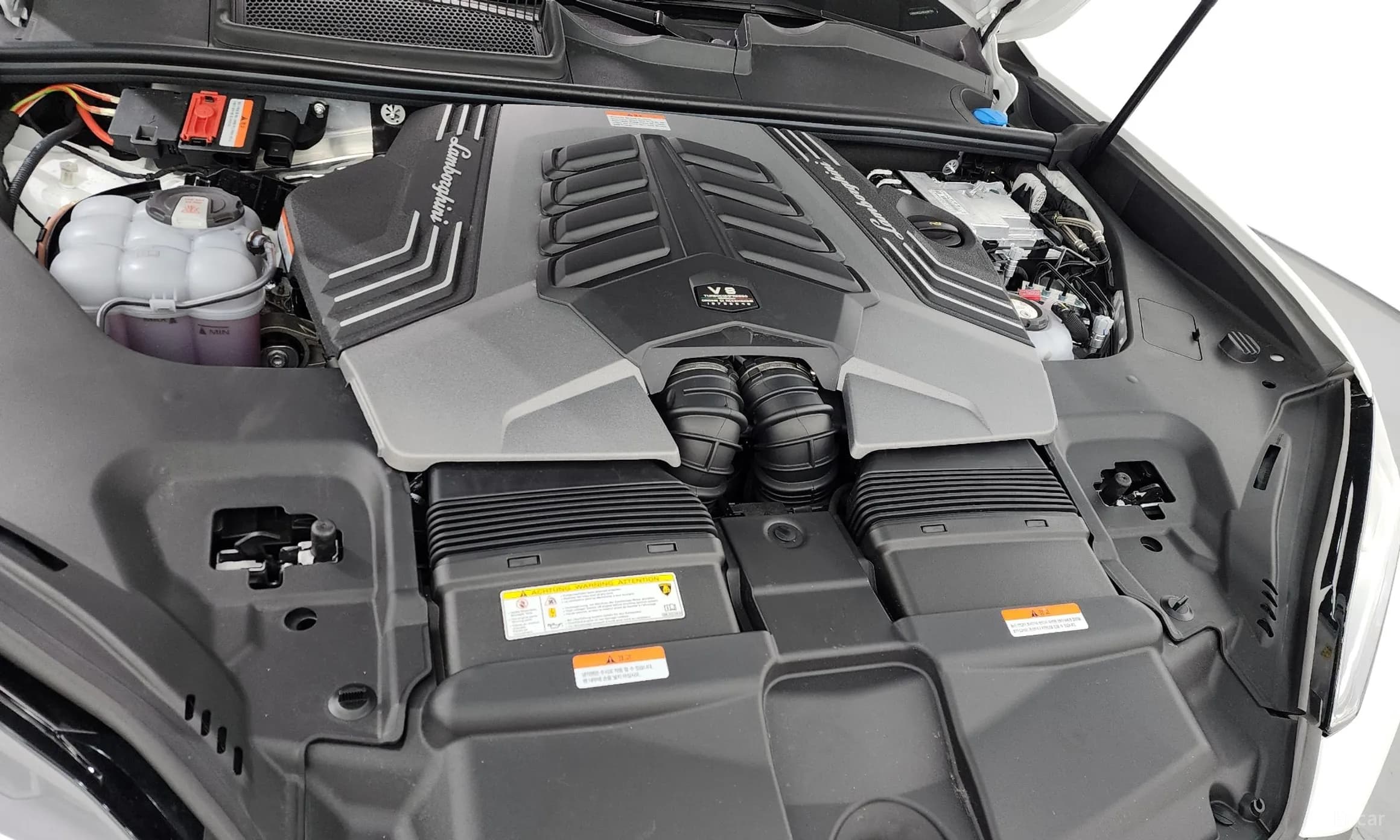 Urus