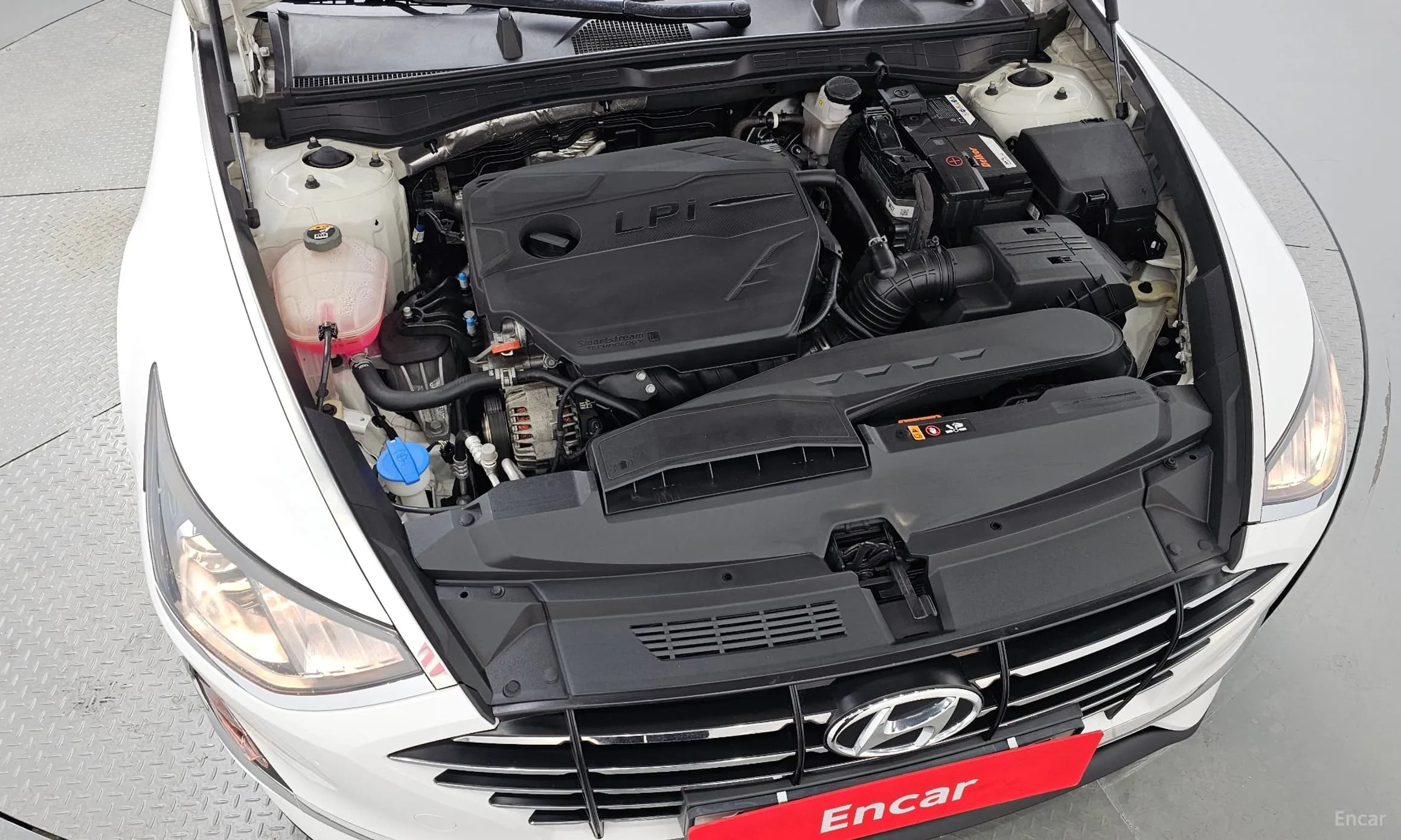 Sonata (DN8)