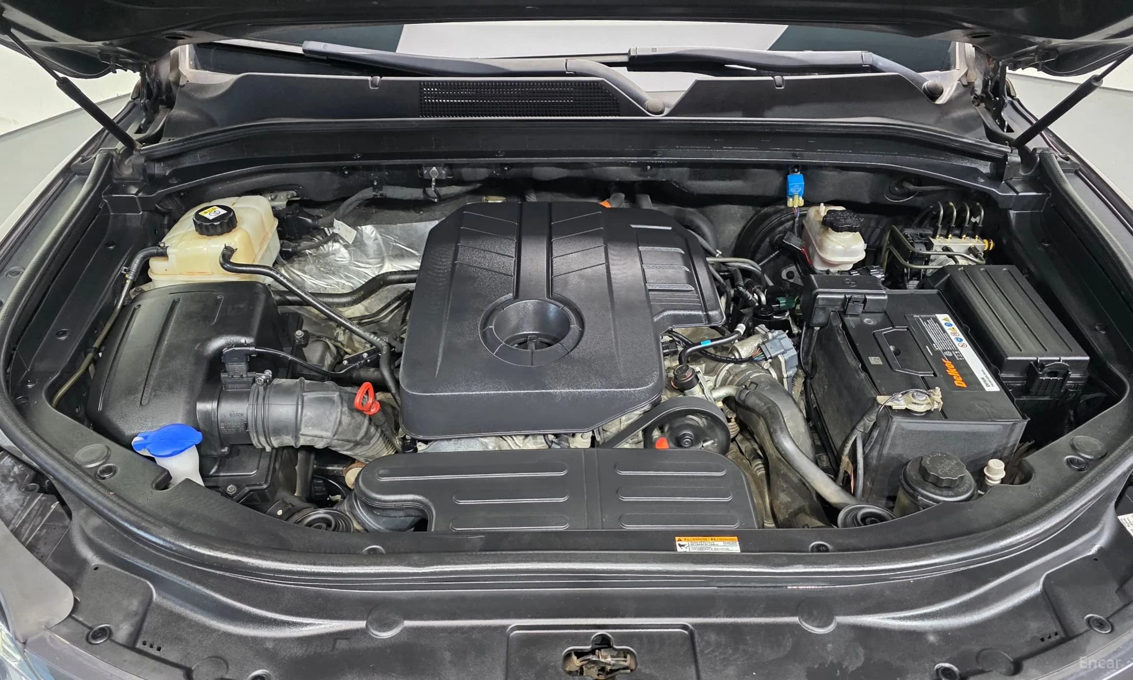 Rexton Sports