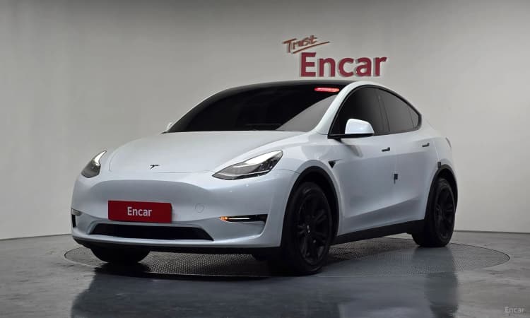 Model Y