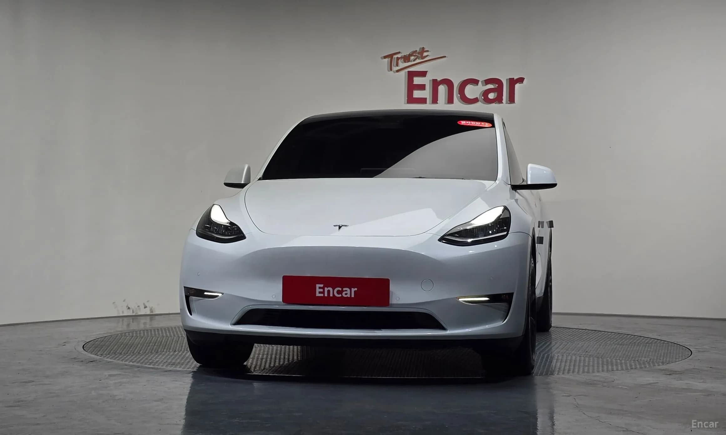 Model Y