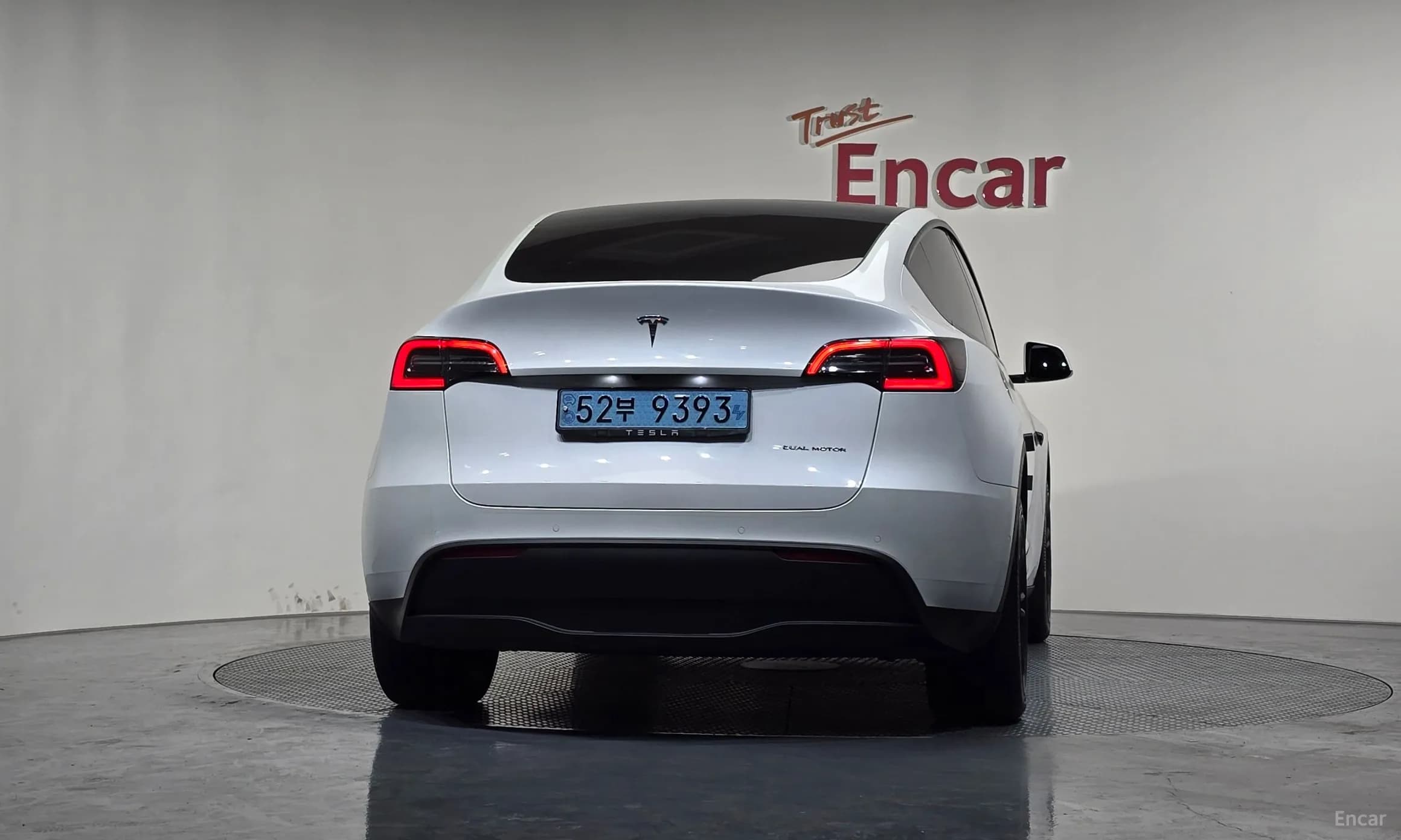 Model Y