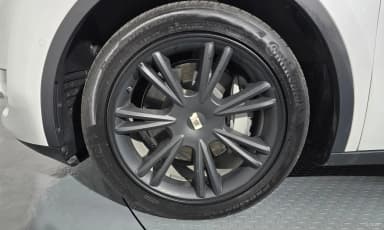 Model Y