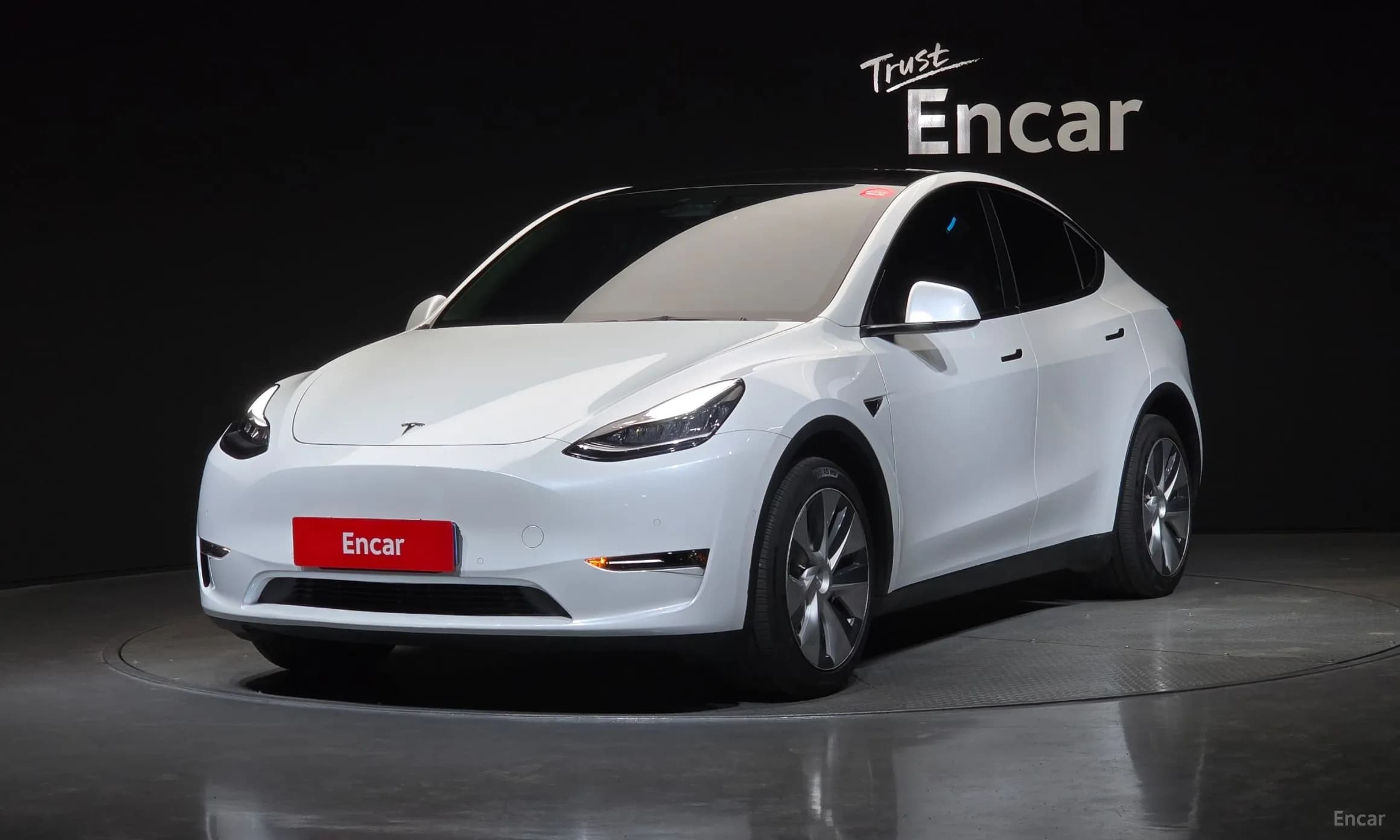 Model Y