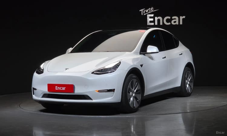 Model Y