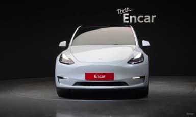 Model Y