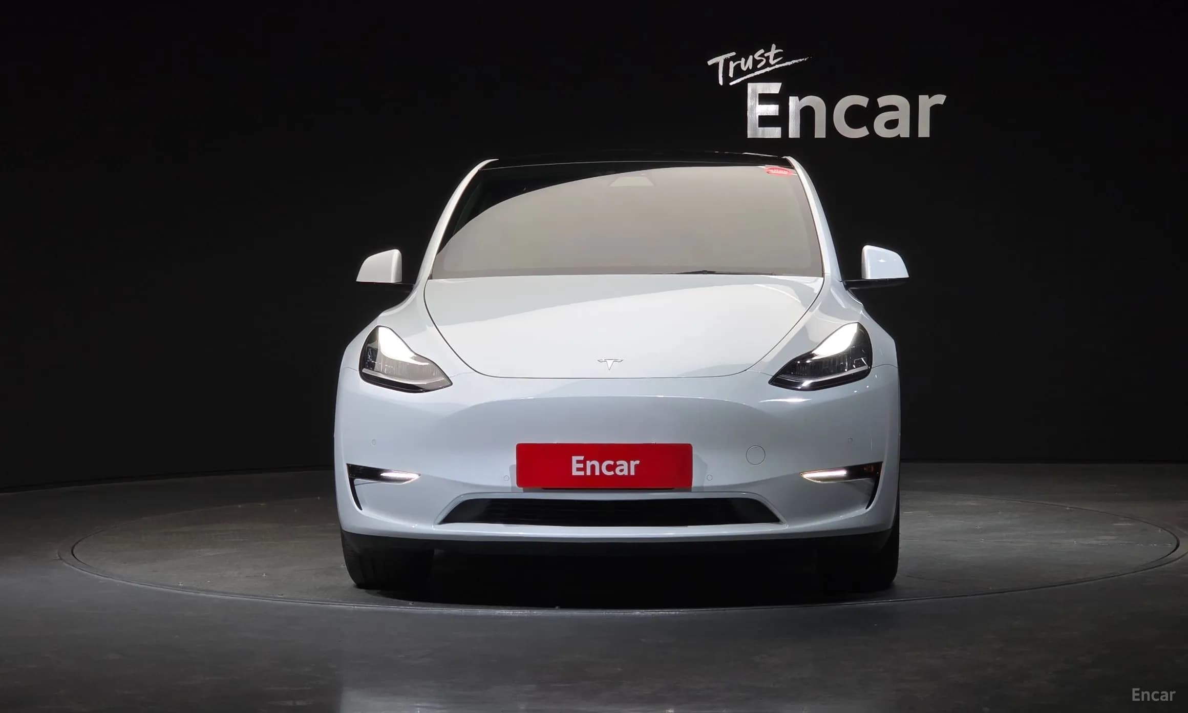 Model Y