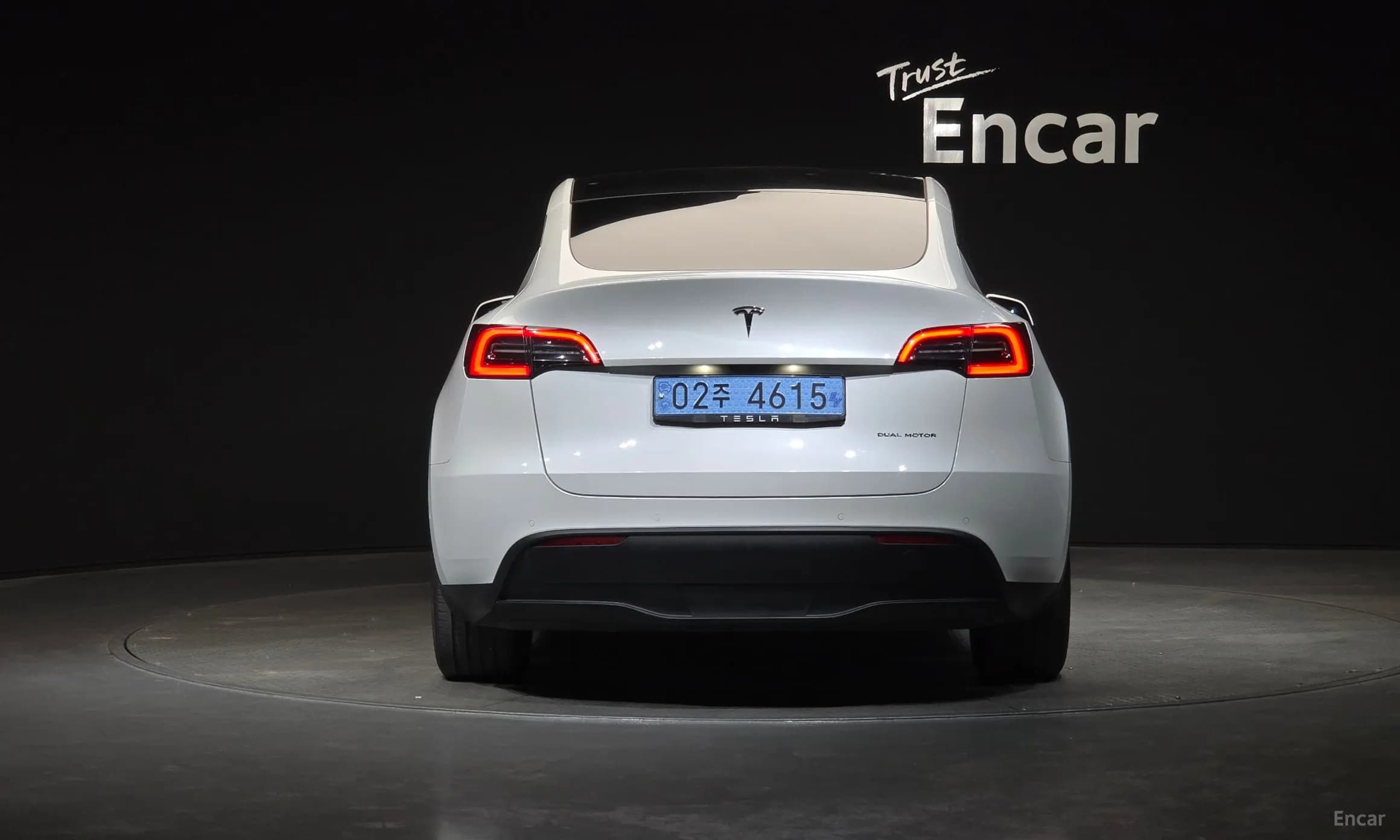 Model Y