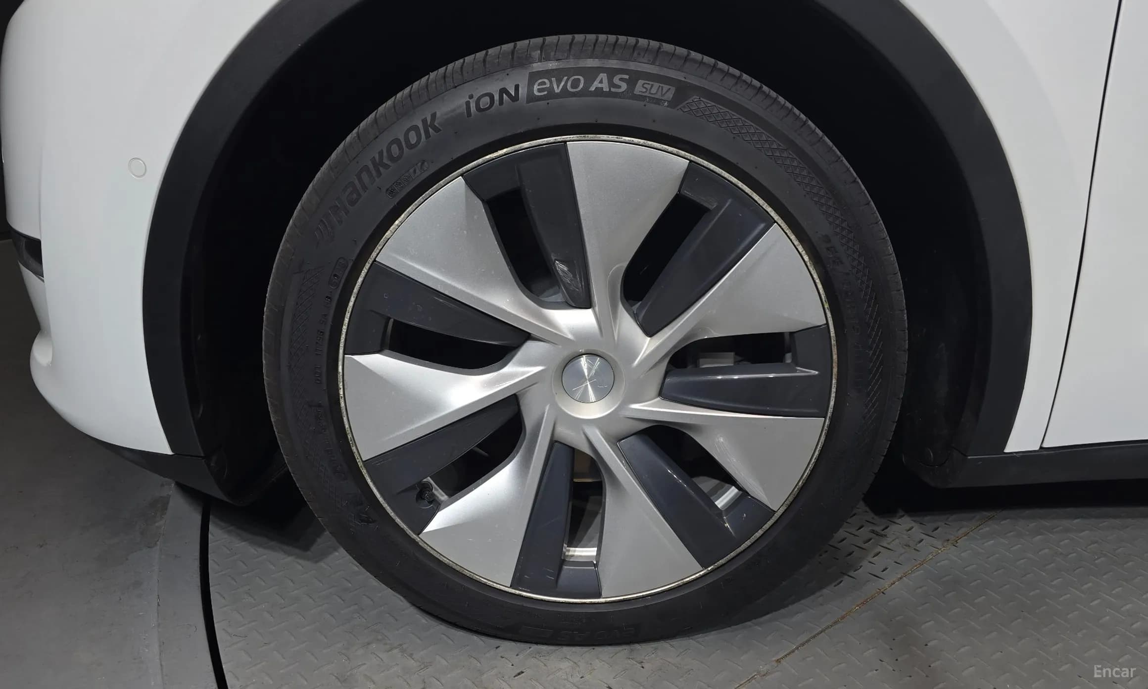 Model Y
