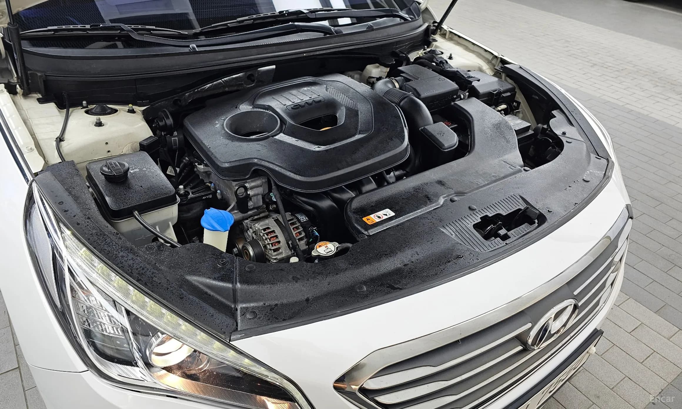 LF Sonata