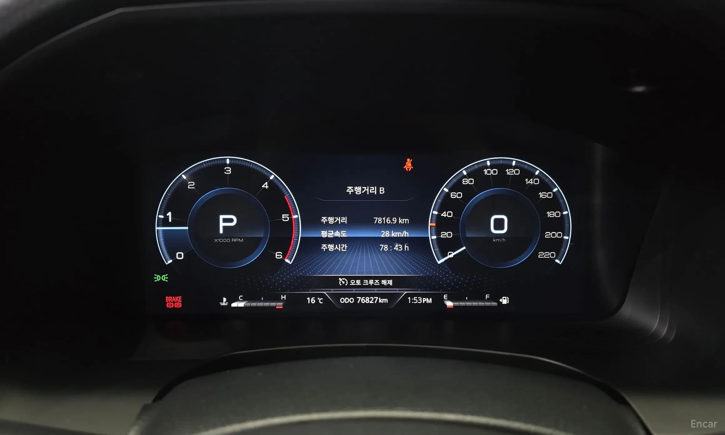 Rexton Sports