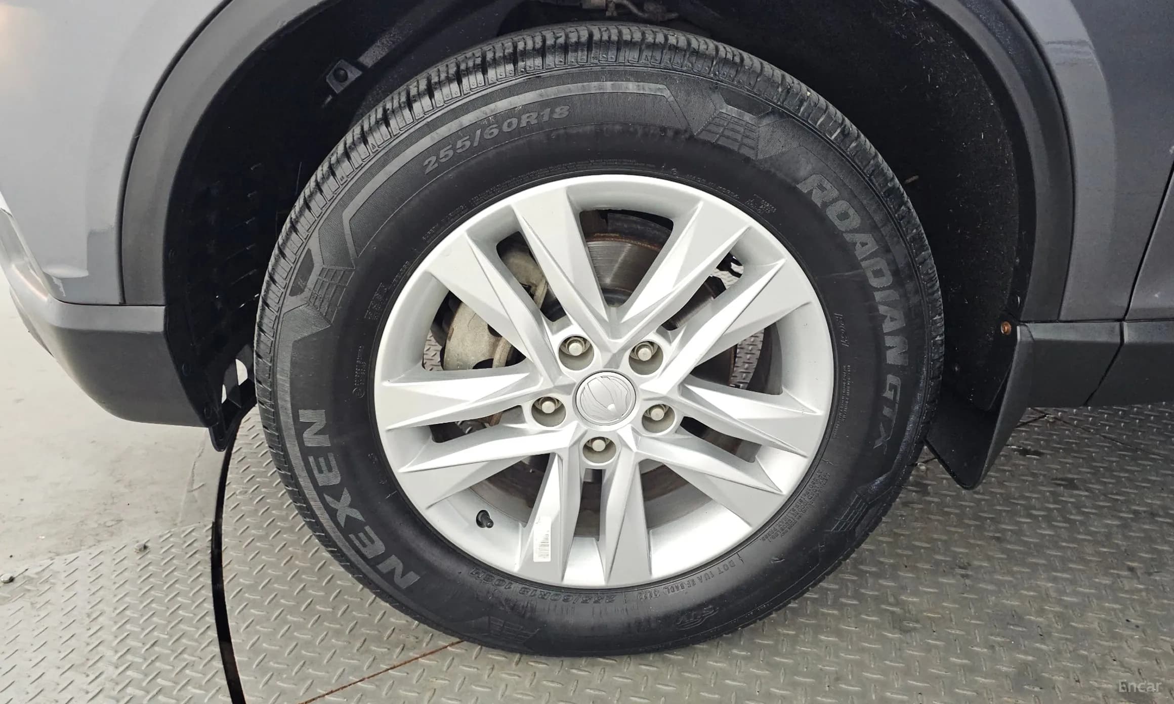Rexton Sports