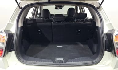 Berry New Tivoli