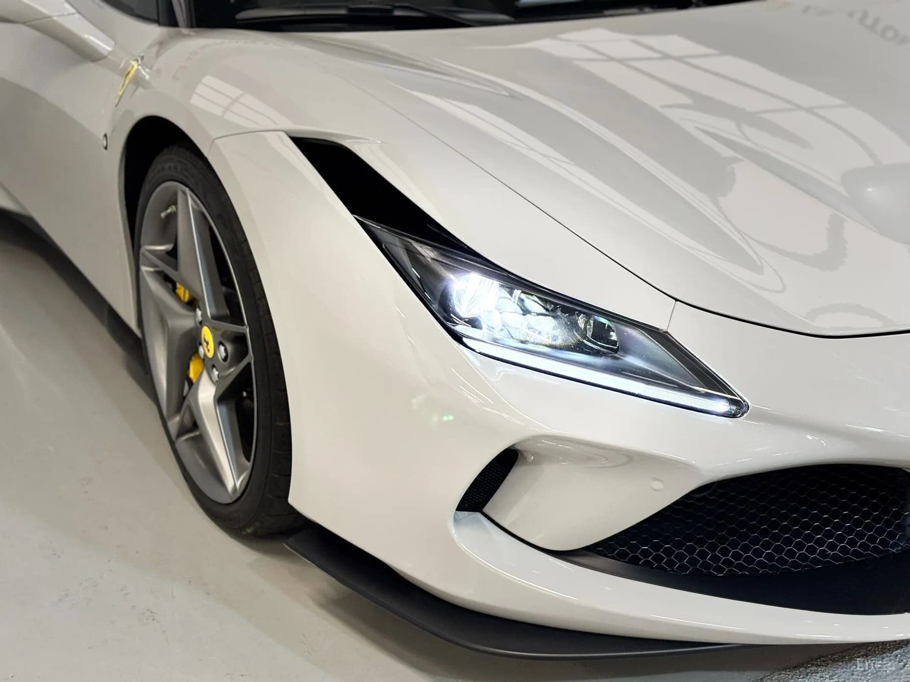 F8 Spider