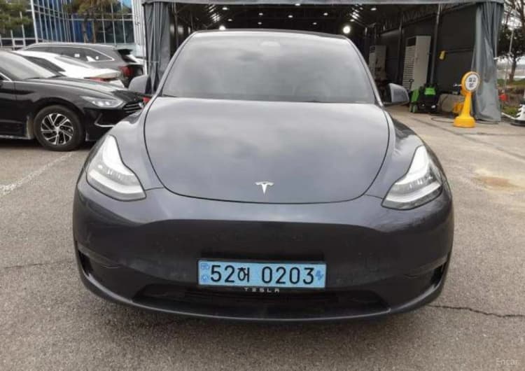 Model Y