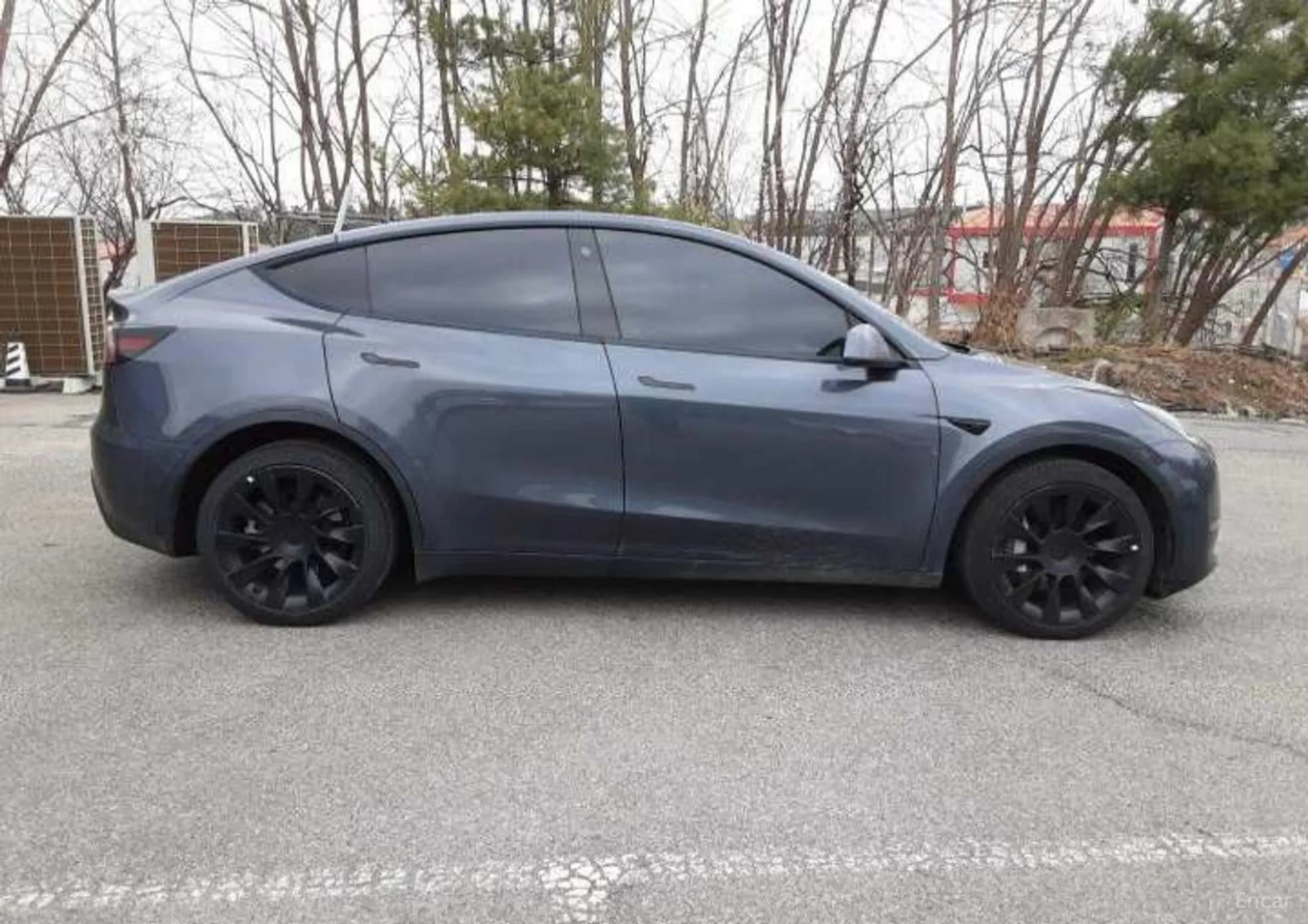 Model Y