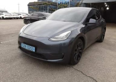 Model Y