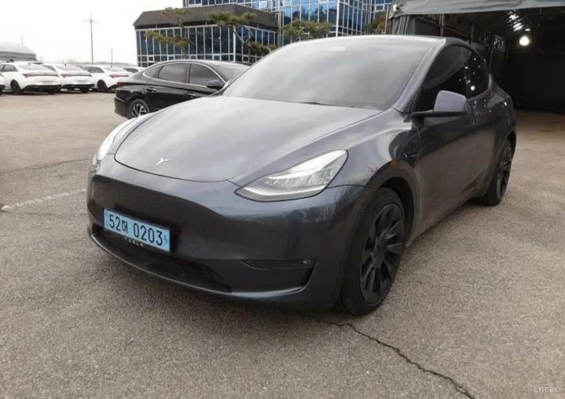 Model Y
