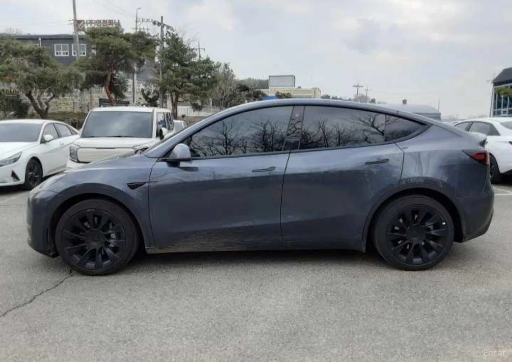 Model Y