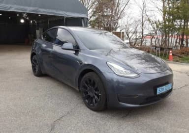 Model Y