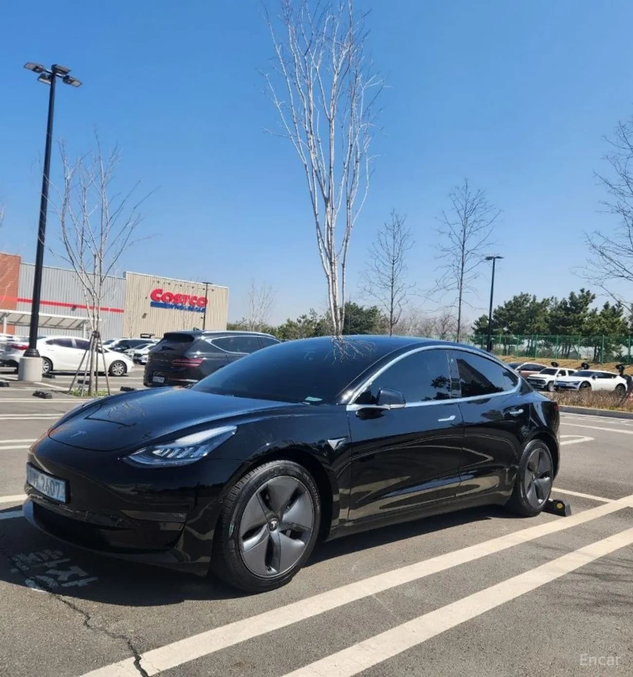 Model 3