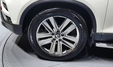 Rexton Sports