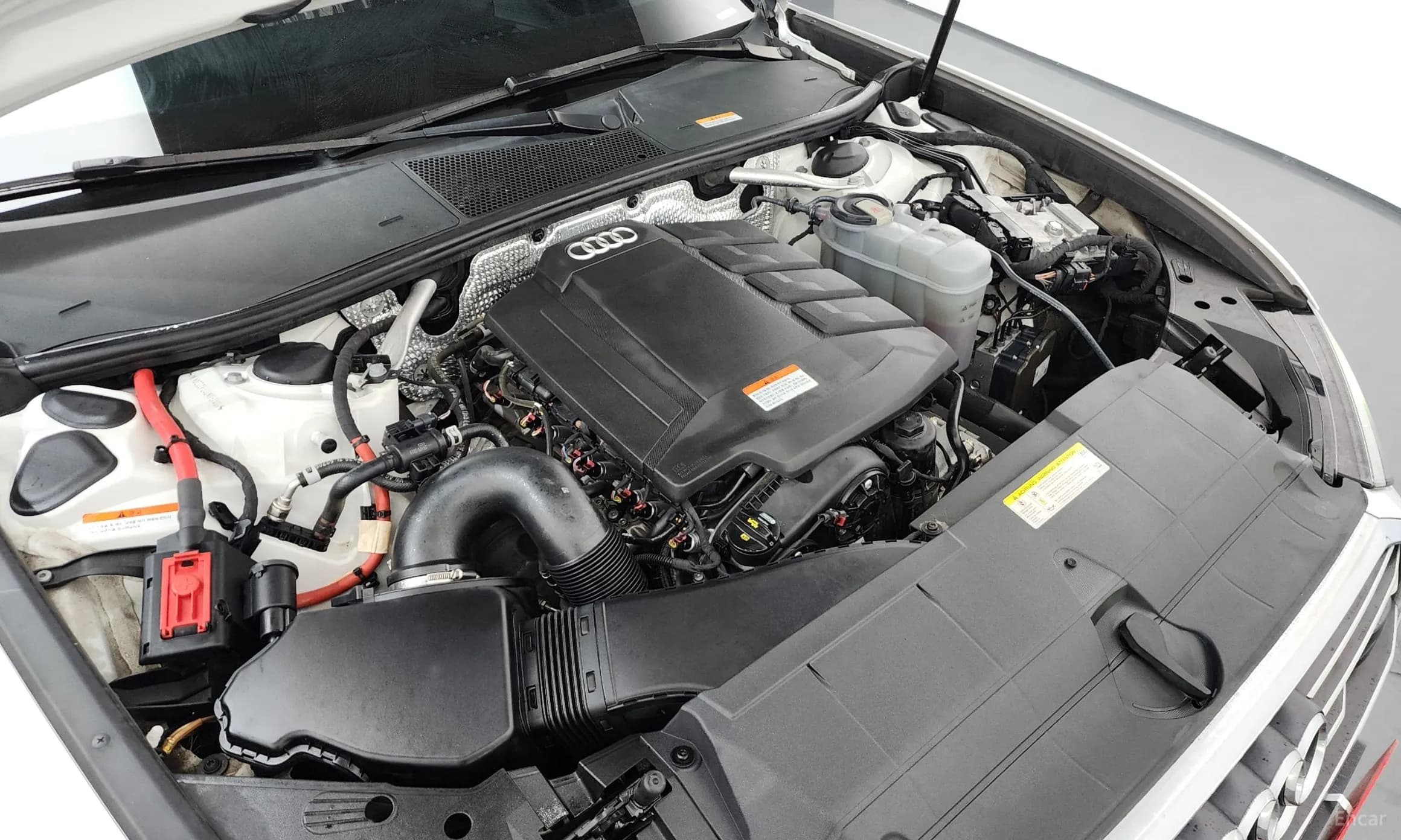 A6 (C8)
