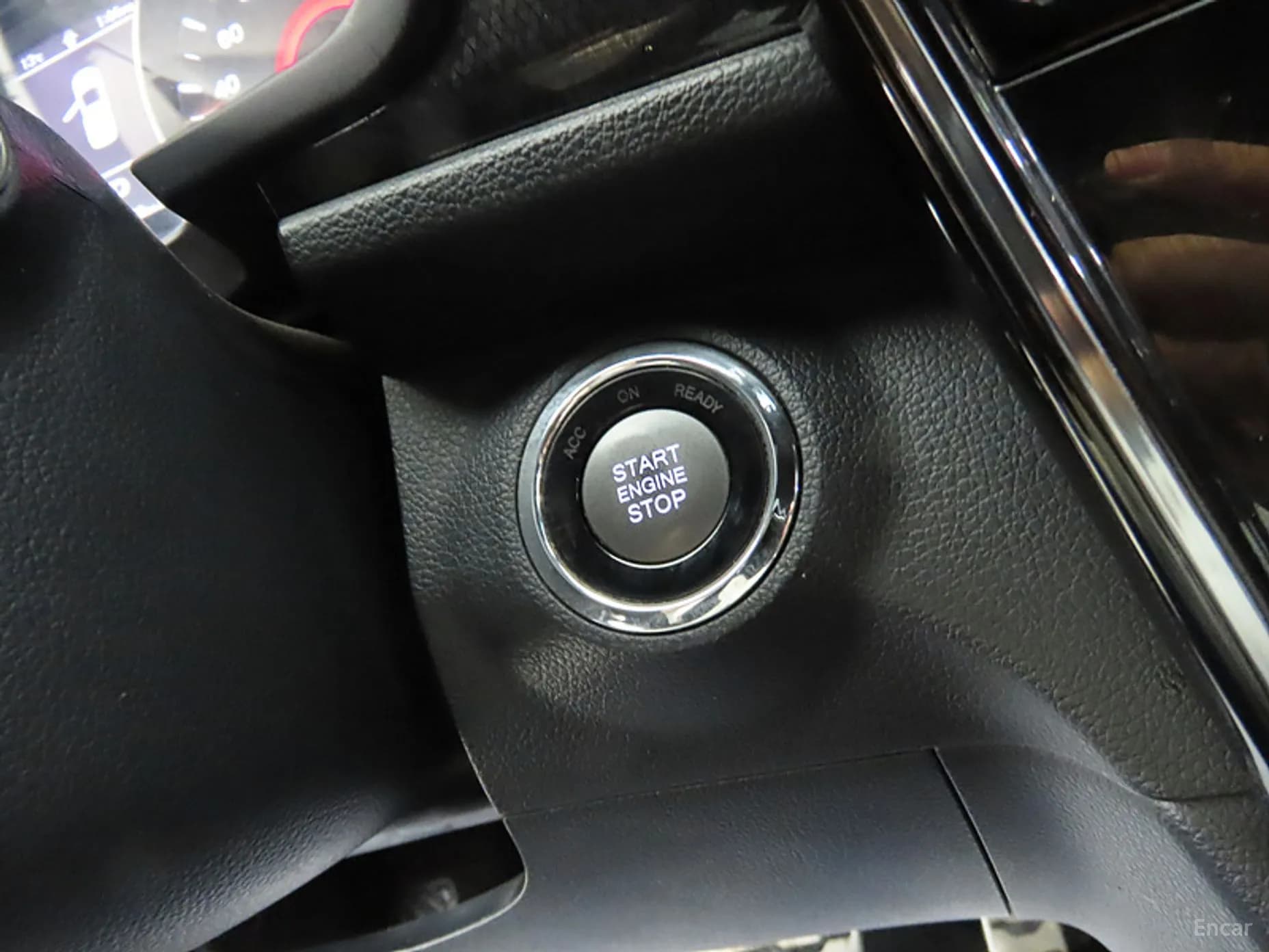 Berry New Tivoli