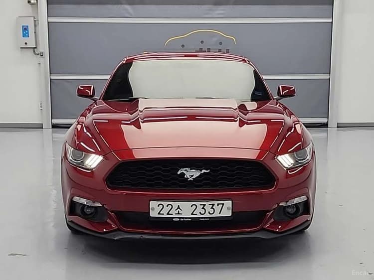 Mustang