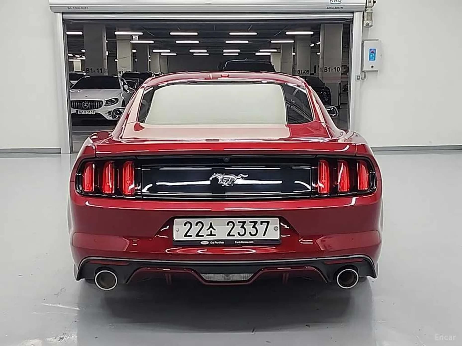 Mustang
