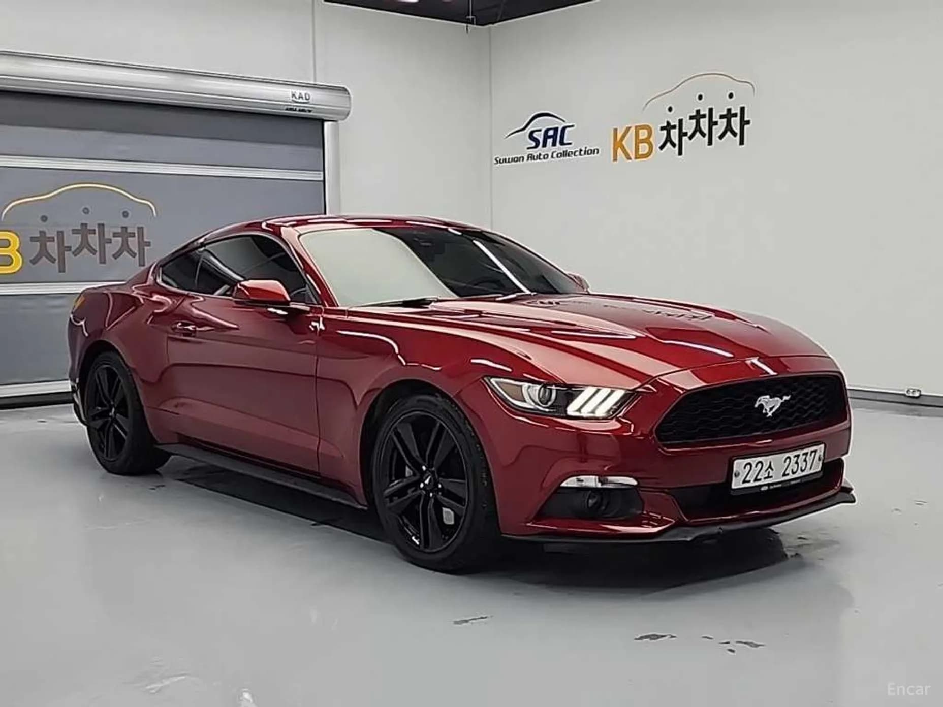 Mustang