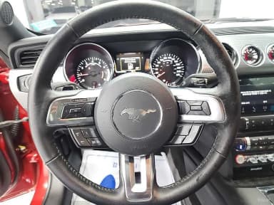 Mustang