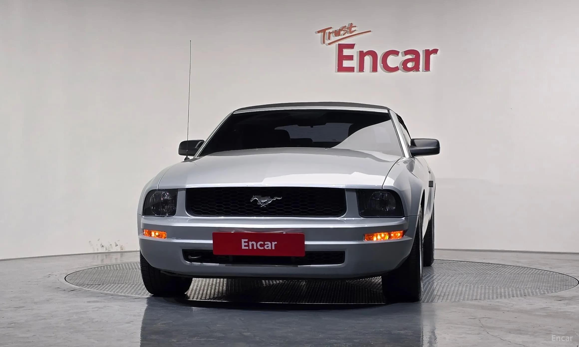 Mustang