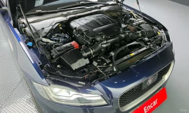 XF (x260)