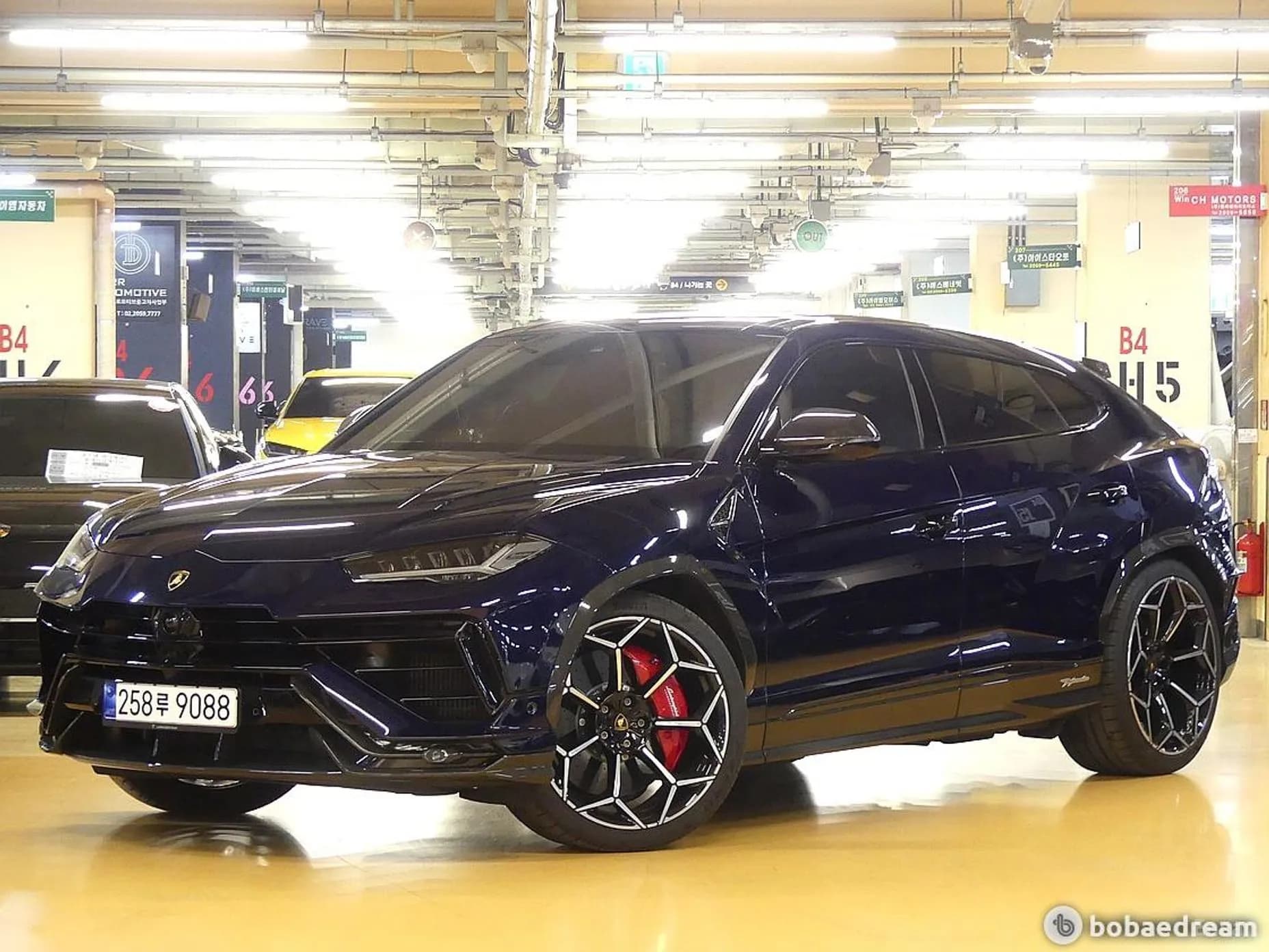 Urus