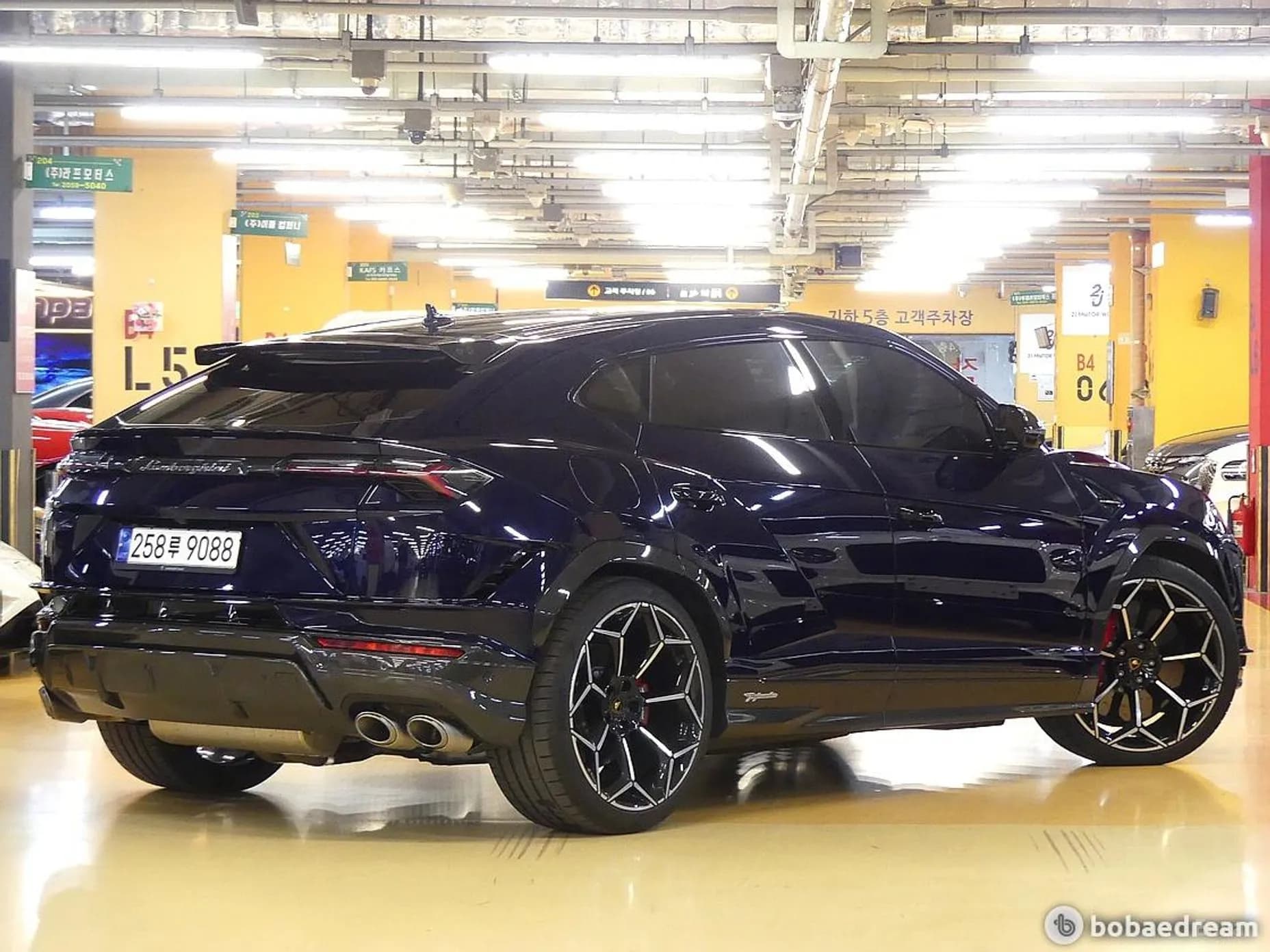 Urus