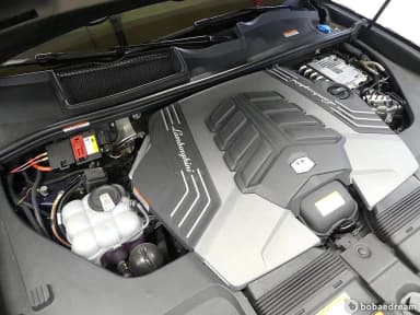 Urus