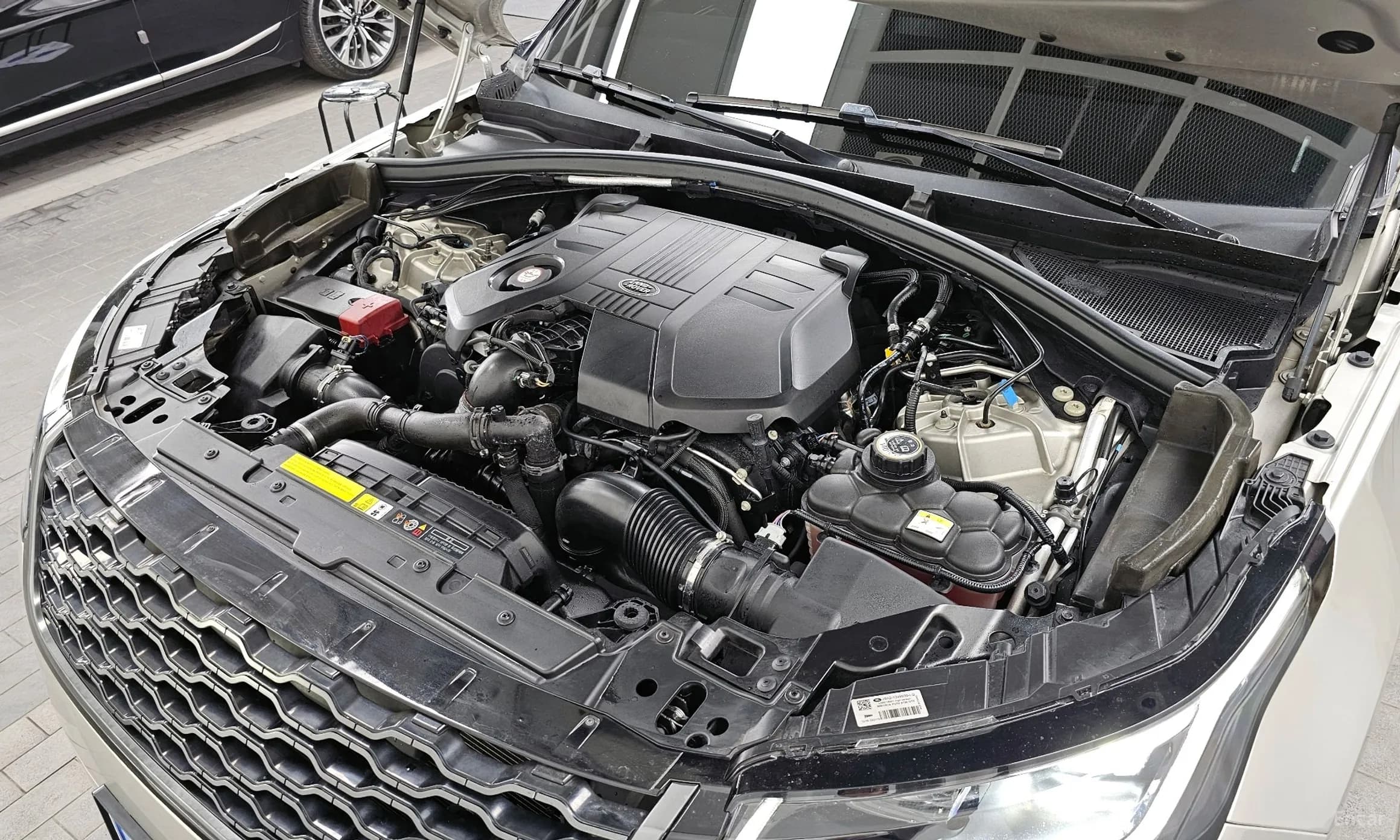 Range Rover Bella