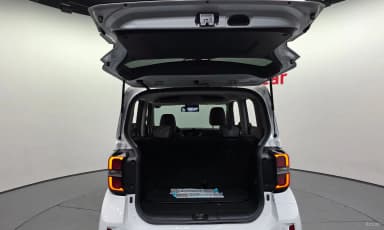 The New Kia Ray EV