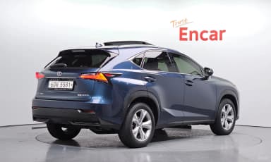 NX300h