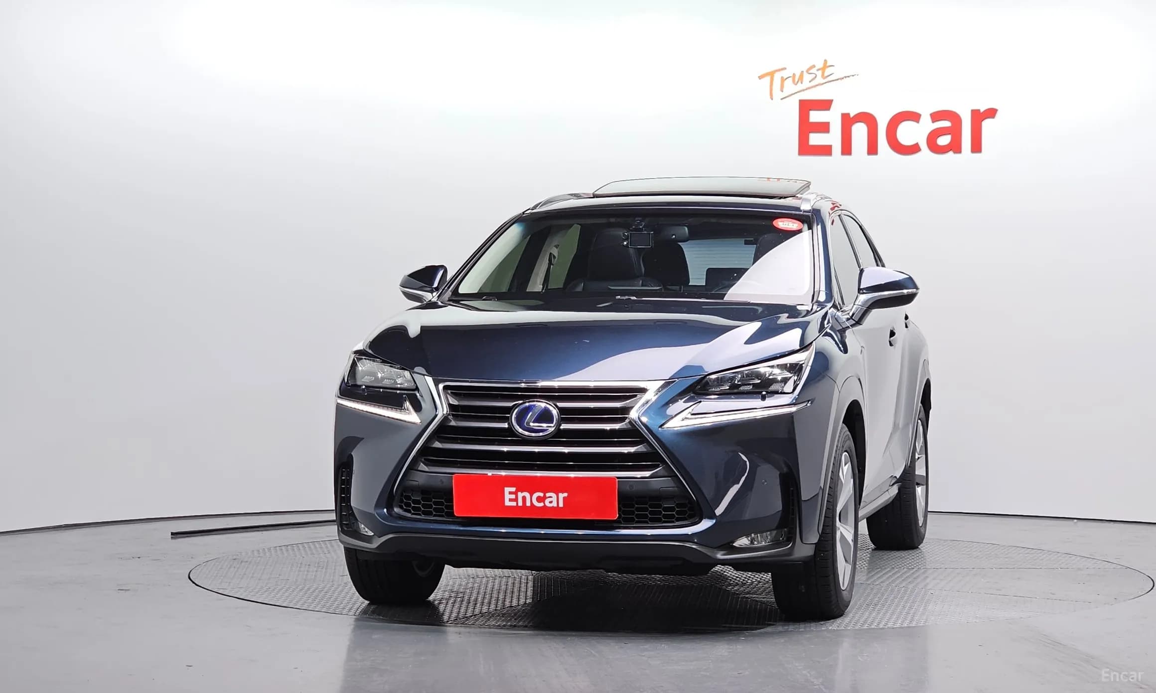 NX300h