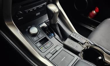 NX300h